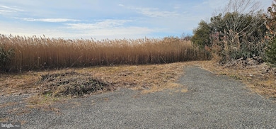 2806 Kitts Hummock Rd, Dover, DE 19901 - photo 3