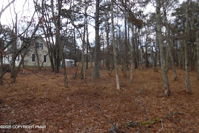 D1922 S Old Stage Rd, Penn Forest Township, PA 18210 - photo 5