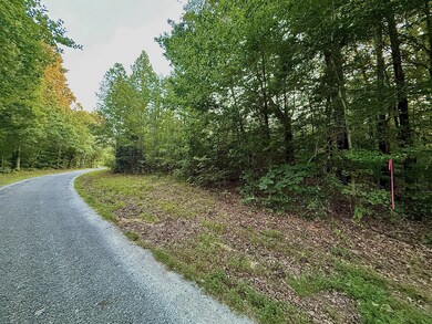 1 Rushing Ln, Lexington, TN 38351 - photo 4