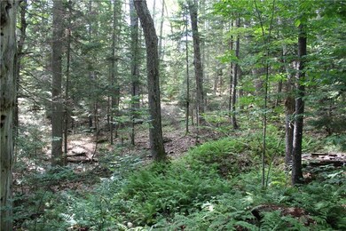 Looking into the land from the woods...