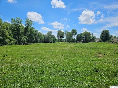 1700 Kochs Ln, Quincy, IL 62305 - photo 3