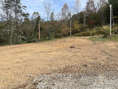 151 Conway Ln, Gray, KY 40734 - photo 3