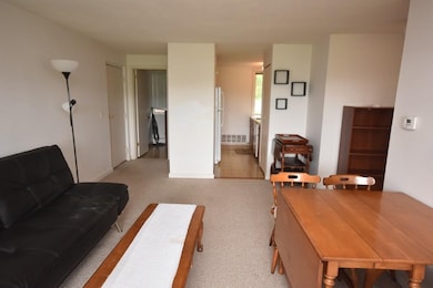 242 N East St unit 20, Amherst, MA 01002 - photo 5