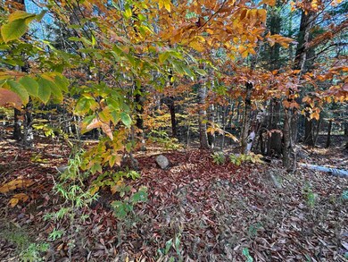 9 Huttwil Dr, Ossipee, NH 03849 - photo 6