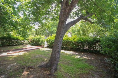 Front Yard (1 of 1)