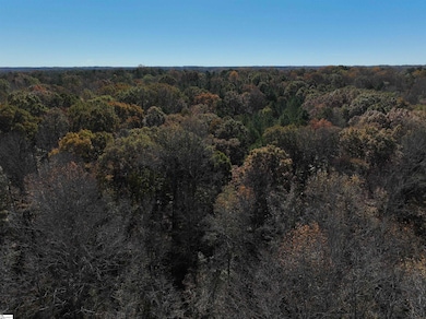 03 Blair Rd, Laurens, SC 29360 - photo 3