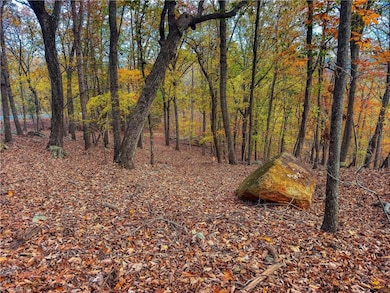 1920 Sierra Trace Rd, Denton, NC 27239 - photo 6