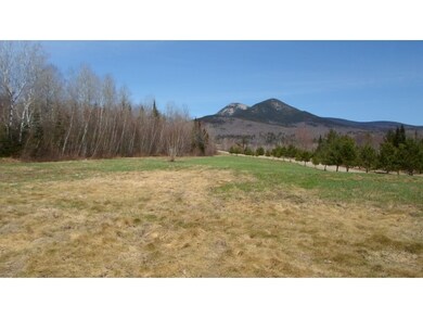 Percy Peaks View