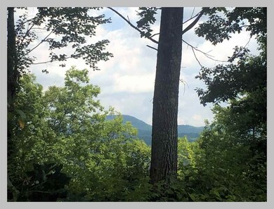 13 Point of View Dr, Plymouth, NH 03264 - photo 5