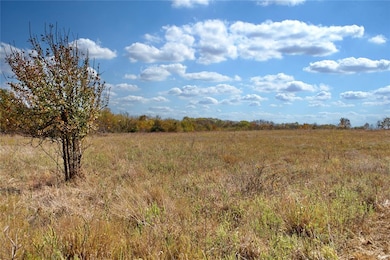 6 Freeny Valley Rd, Caddo, OK 74729 - photo 3