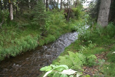Creek