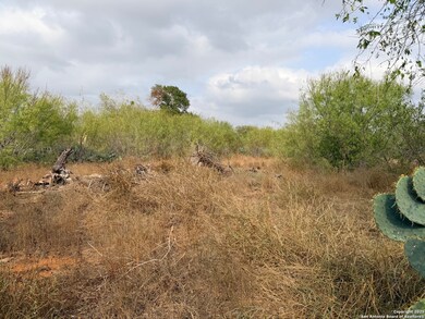 569 Couser Blvd, Charlotte, TX 78011 - photo 7