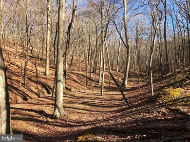 0 Beech Ln unit 1000232394, Baker, WV 26801 - photo 4