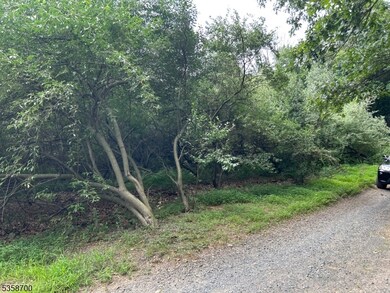 000 Pleasant Grove Rd, Long Valley, NJ 07853 - photo 3