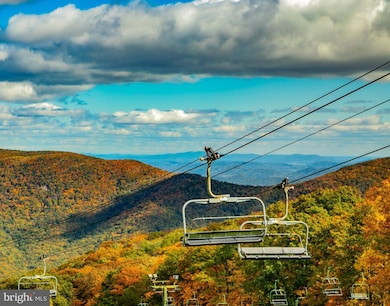 905 Diamond Hill, Wintergreen Resort, VA 22967 - photo 4