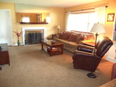 LIVING ROOM HAS NEWER CARPET AND BEAUTIFUL FIRPELA