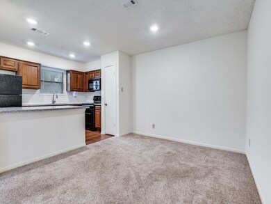 1307 Willoughby Ln unit 5410, Arlington, TX 76011 - photo 7