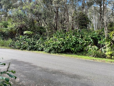 0 3rd St unit 725812, Volcano, HI 96785 - photo 2