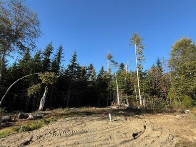 Lot 25 H Boot Cove Rd, Lubec, ME 04652 - photo 7
