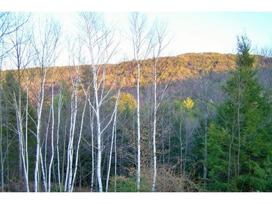 128 Moose Mountain Rd, Brookfield, NH 03872 - photo 4