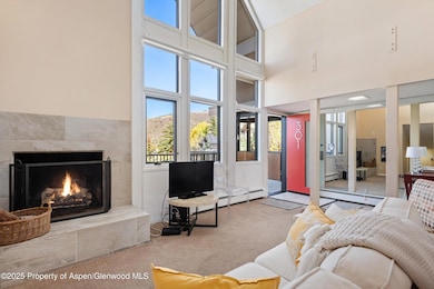800 S Mill St unit 301, Aspen, CO 81611 - photo 5