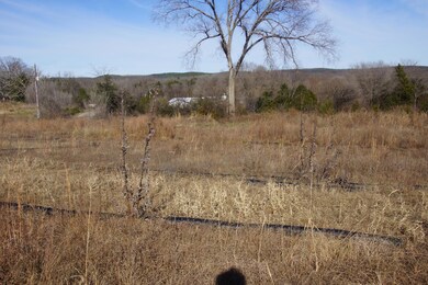 Tbd Farm Road 1240, Shell Knob, MO 65747 - photo 3