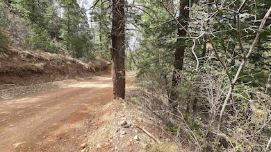 Lot2 Running Water Trail unit 2, High Rolls, NM 88317 - photo 4