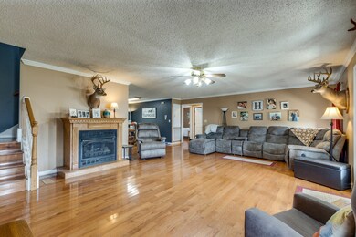 353 Major Rd, Cornersville, TN 37047 - photo 3