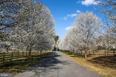 14906 Spring Meadows Dr, Germantown, MD 20874 - photo 3