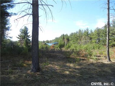Yard/Garden. 1.8 acres
