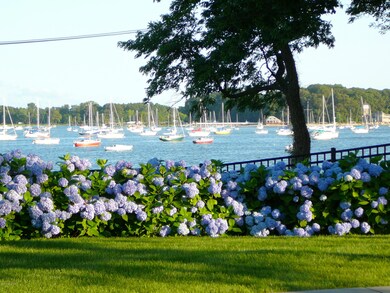 the cove