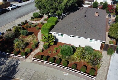 Mature, drought resistant well appointed landscapi