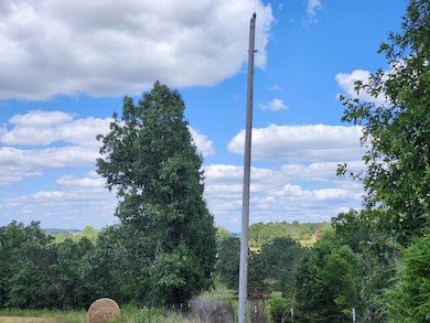 000 N Highway 95, Mountain Grove, MO 65711 - photo 2