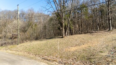 0 Salt Ln unit RTC2796899, Savannah, TN 38372 - photo 5