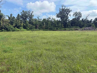 38354 N Robert Wilson Rd, Gonzales, LA 70737 - photo 2