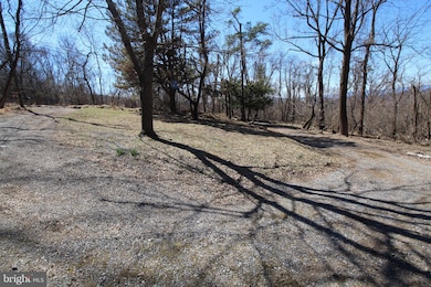 305 Steps to Heaven Rd, Linden, VA 22642 - photo 3