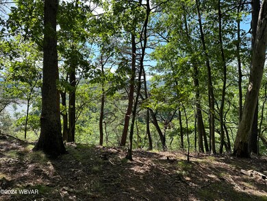 IMG_0018