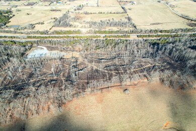DJI_0225