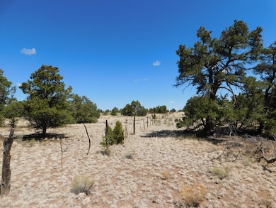 15 River Ln, Quemado, NM 87829 - photo 6