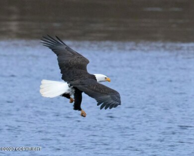4 Eagle