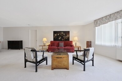 Imperial Towers unit 505, Chestnut Hill, MA 02467 - photo 2