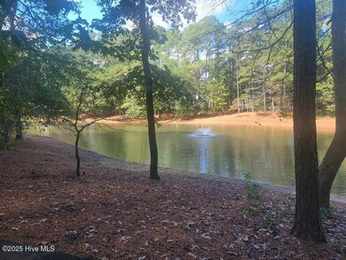 335 Sprunt Dr, Clinton, NC 28328 - photo 4