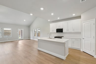 408 Midnight Oak Dr, McKinney, TX 75069 - photo 3