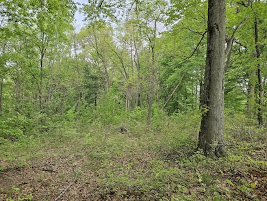 77868 30th Ave, Covert, MI 49043 - photo 2