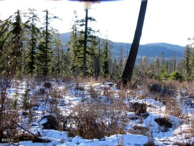 176 Crescent Moon, Bigfork, MT 59911 - photo 6