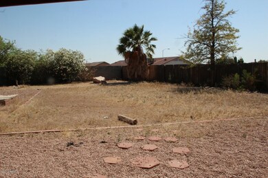 back yard