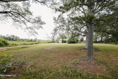 2778 Big Creek Dr SW, Bogue Chitto, MS 39629 - photo 3