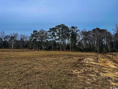 Lot 7 Rena Ln, Conway, SC 29527 - photo 5