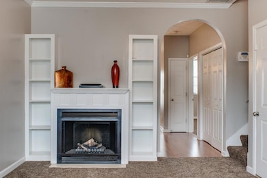 Electric Fireplace and Built in Bookshelves in Living Room! 