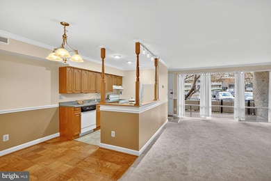 7549 Spring Lake Dr unit C-1, Bethesda, MD 20817 - photo 6